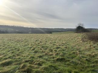 Potential Equestrian Land At Horsley 