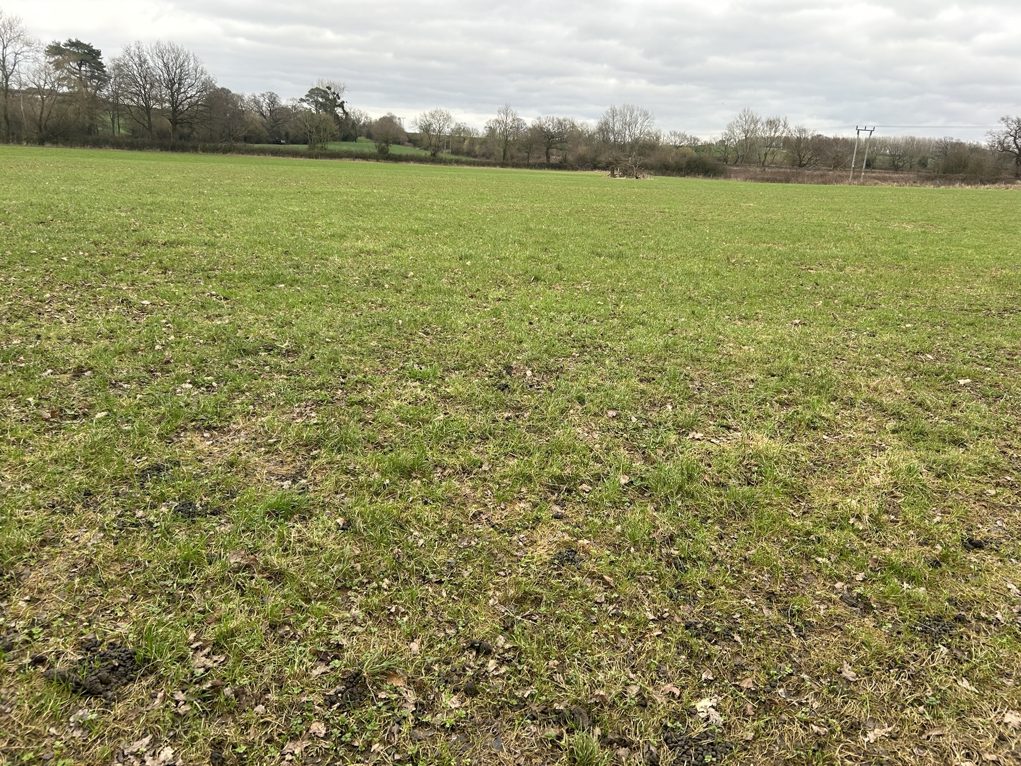 Land at Orleton, Herefordshire, SY8 4HY